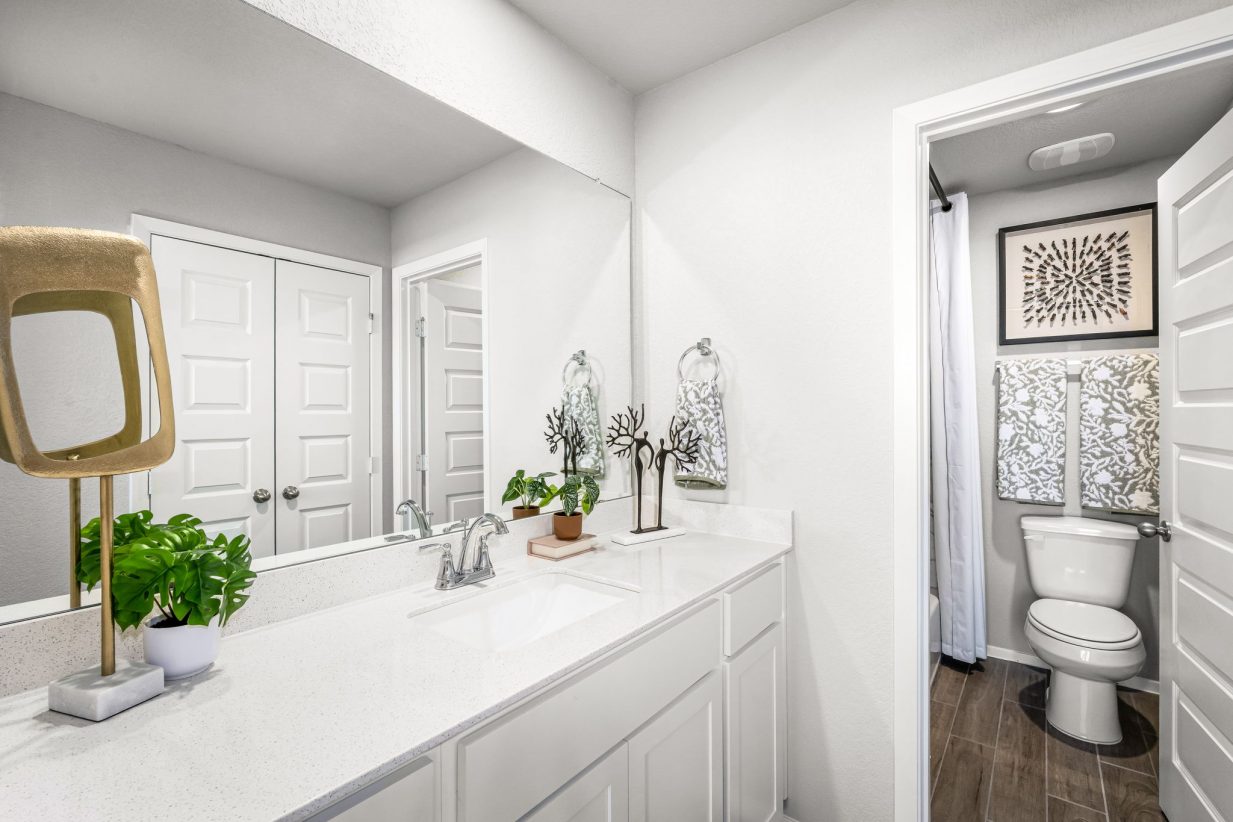 Image of bathroom with white walls, wood flooring, white cabinets and white countertops, plants, and a mirror, that leads into a seperated area with white toilet and bathtub.