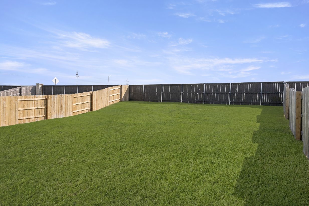 Image of home backyard with green grass, wood fence, and sky