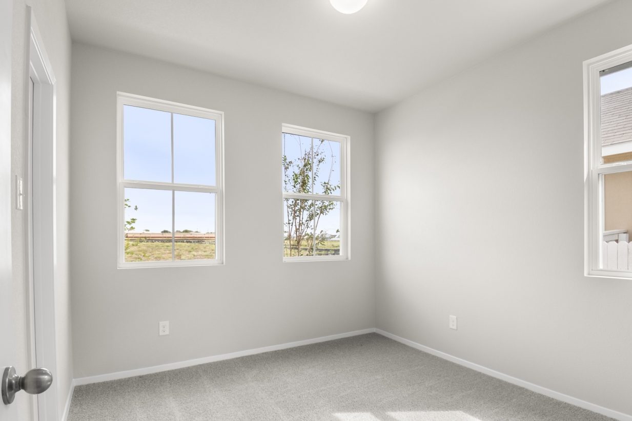 Image of bedroom with light grey walls and carpet with two windows