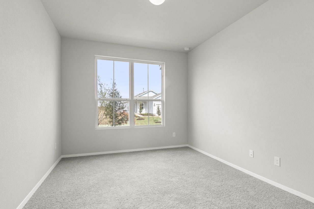 Image of primary bedroom with light grey walls and carpet with a window