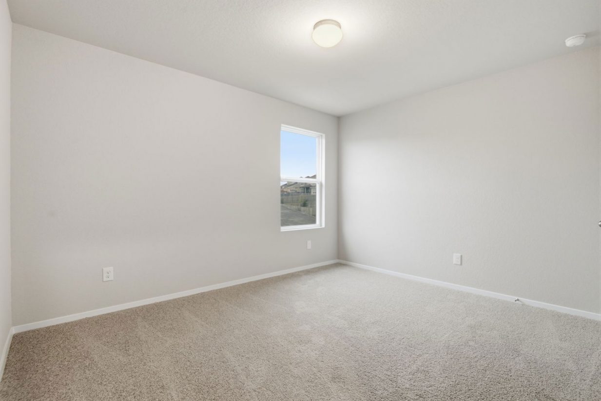 Image of a bedroom with light grey walls, tan carpeting, a window and white trim