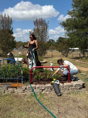 Image of two women working outside in a garden with green grass, trees, and blue sky surrouding them.