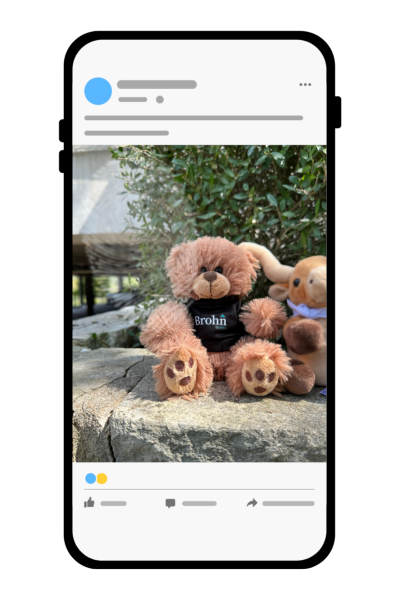 A mock up smart phone displaying brown teddy bear wearing a black shirt with white text that says "Brohn Homes" and longhorn who is cut off on a rock with greeny behind.