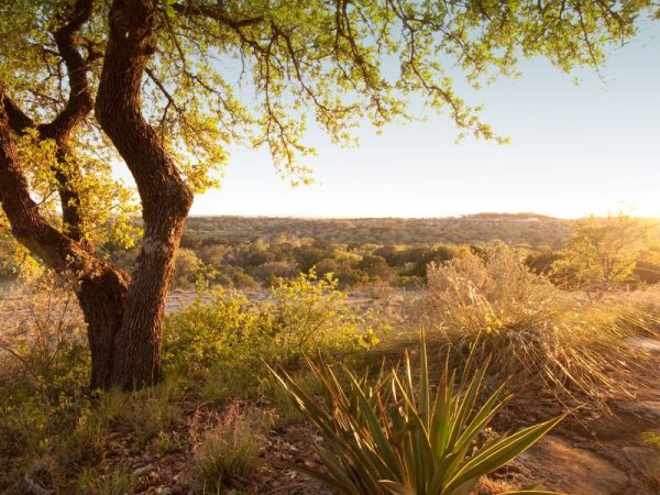 New Homes Near San Antonio in Legacy Hills